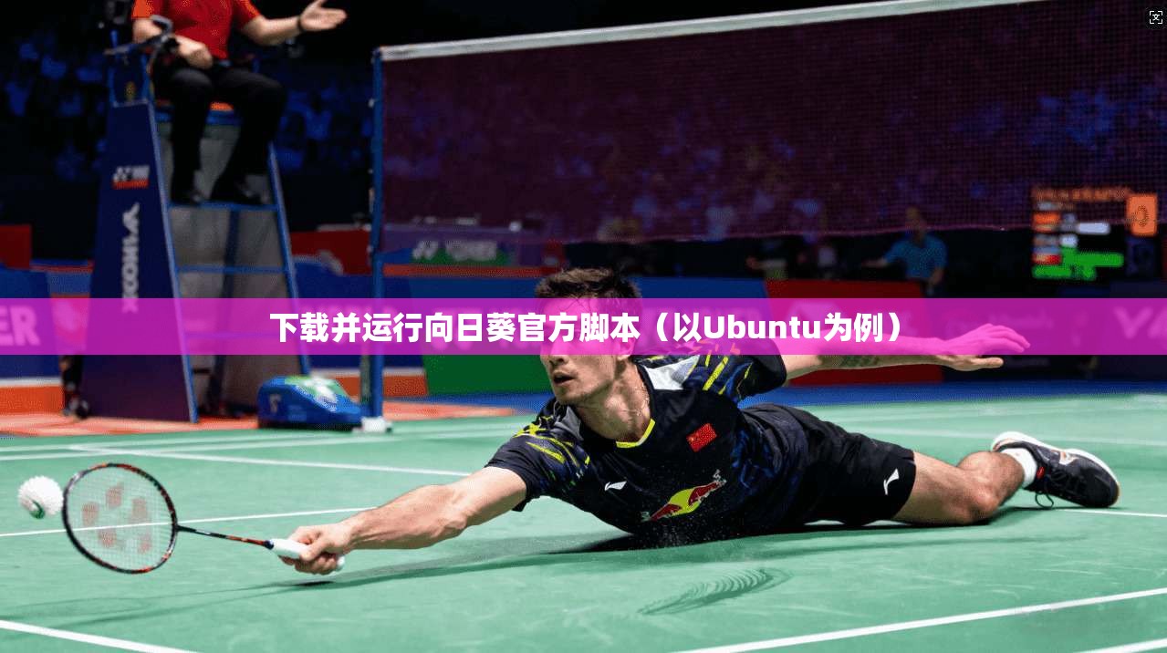 下载并运行向日葵官方脚本（以Ubuntu为例）