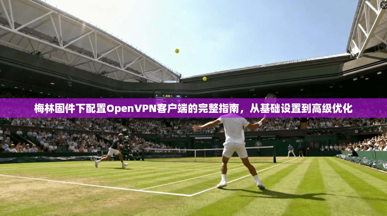 梅林固件下配置OpenVPN客户端的完整指南，从基础设置到高级优化