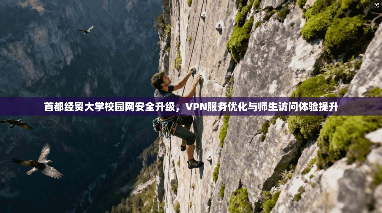 首都经贸大学校园网安全升级，VPN服务优化与师生访问体验提升