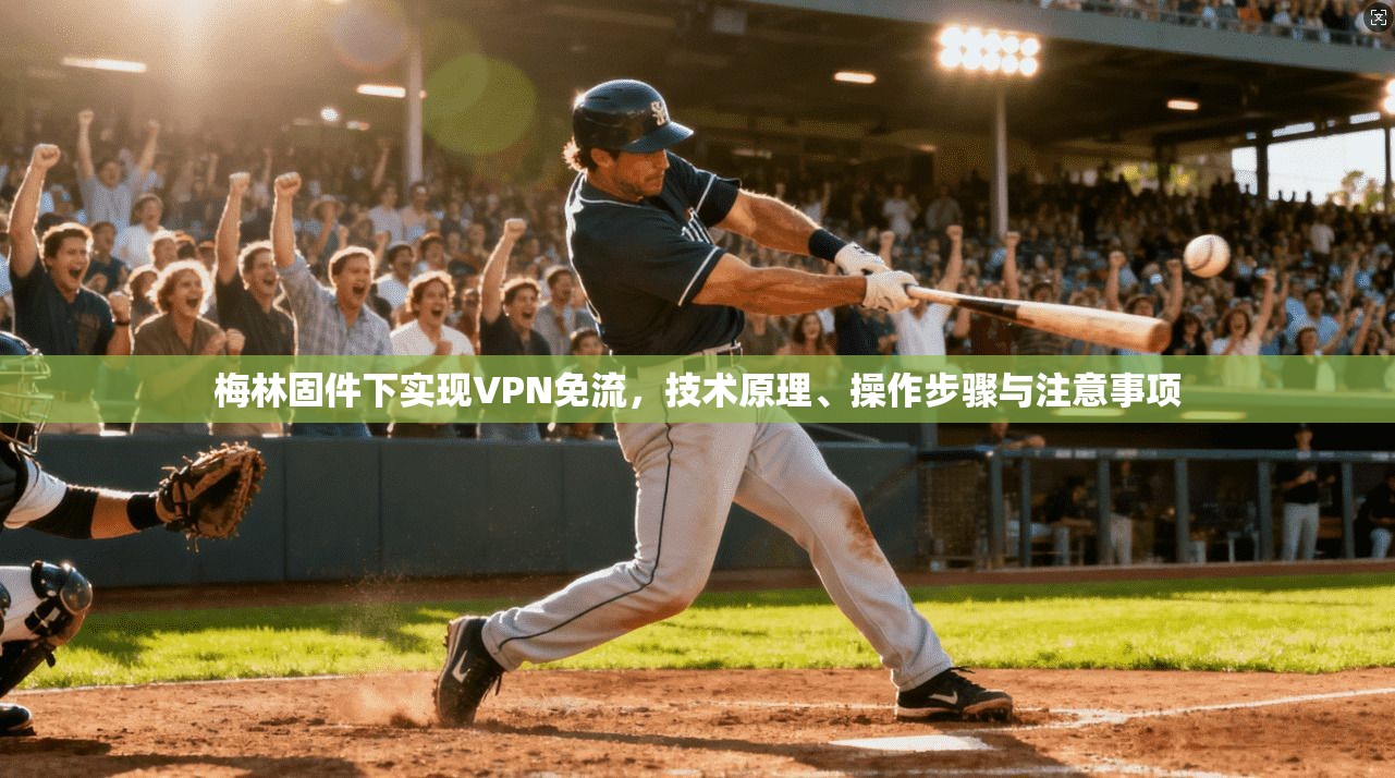 梅林固件下实现VPN免流，技术原理、操作步骤与注意事项