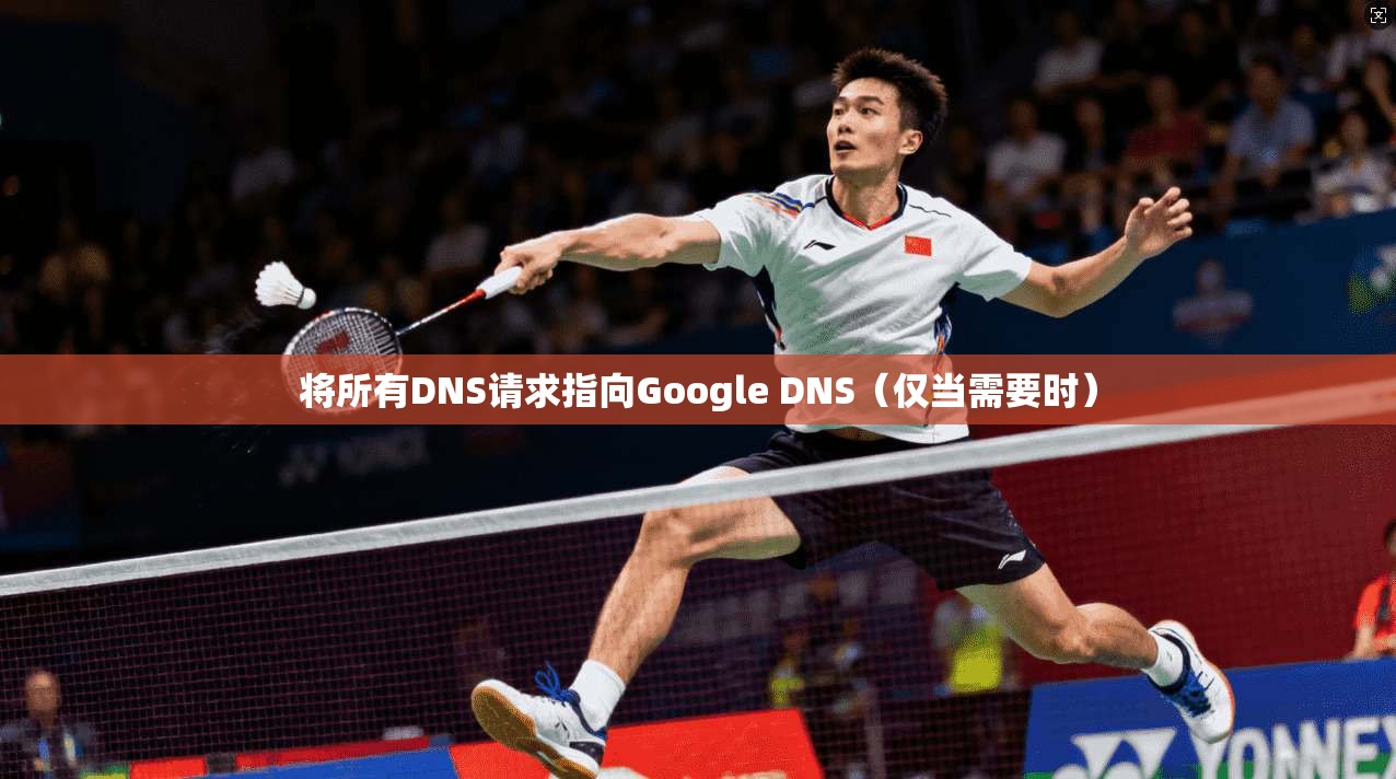 将所有DNS请求指向Google DNS（仅当需要时）