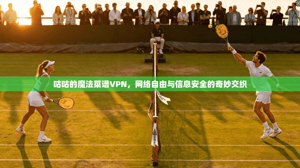 咕咕的魔法菜谱VPN，网络自由与信息安全的奇妙交织