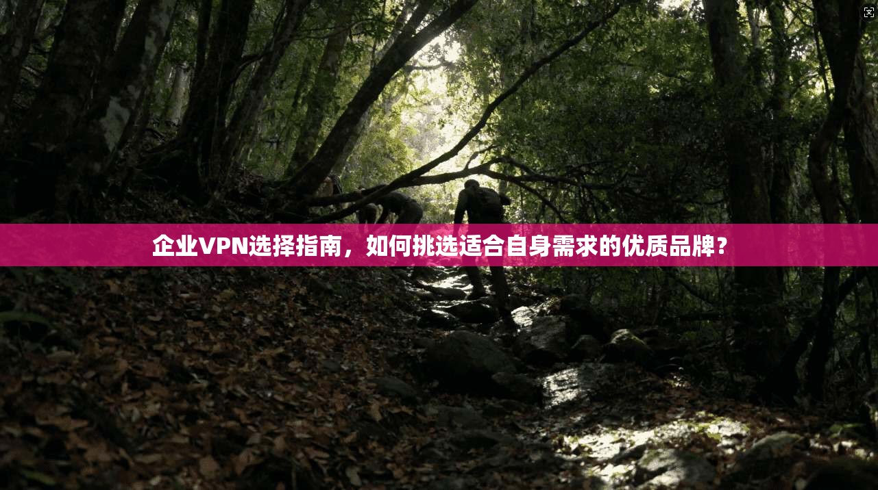 企业VPN选择指南，如何挑选适合自身需求的优质品牌？