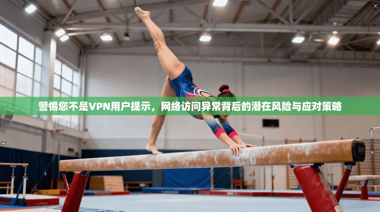 警惕您不是VPN用户提示，网络访问异常背后的潜在风险与应对策略