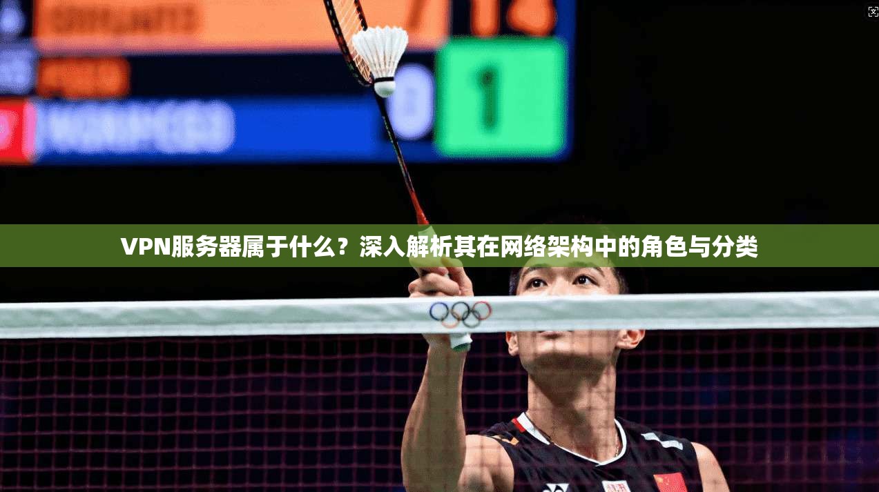 VPN服务器属于什么？深入解析其在网络架构中的角色与分类