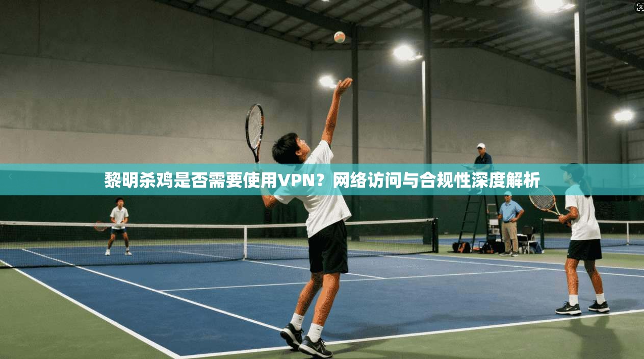黎明杀鸡是否需要使用VPN？网络访问与合规性深度解析