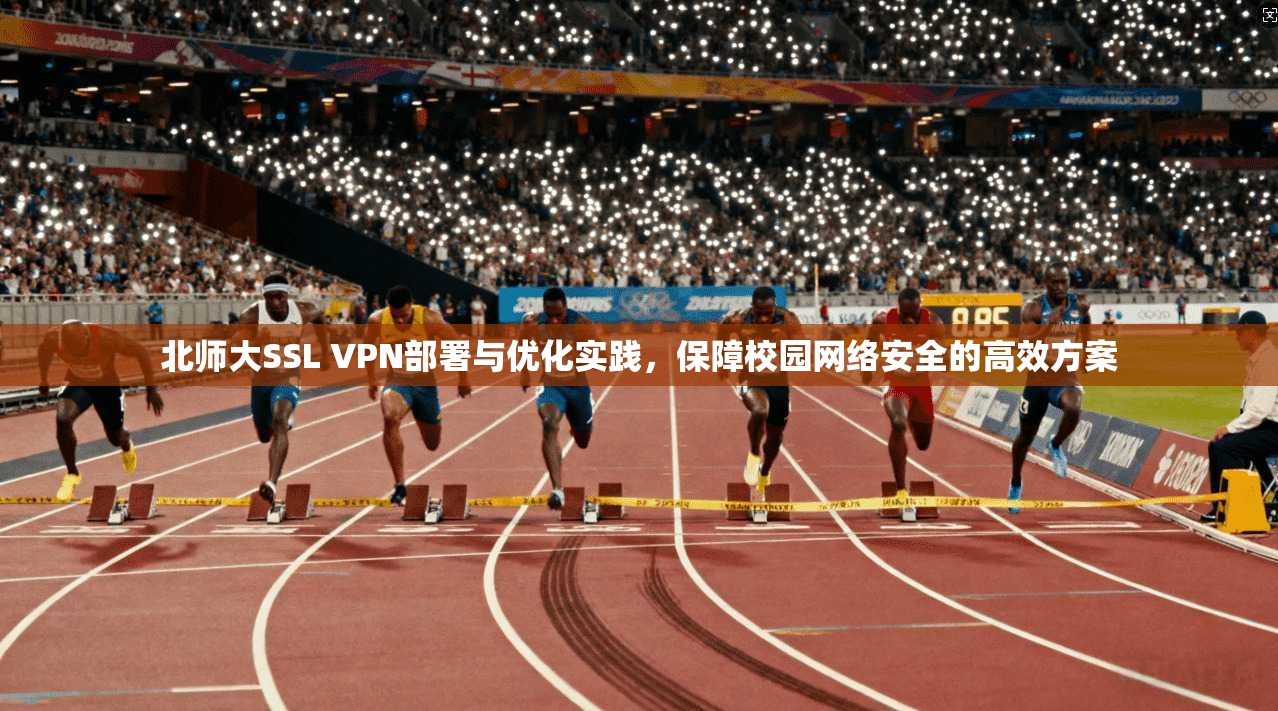 北师大SSL VPN部署与优化实践,保障校园网络安全的高效方案