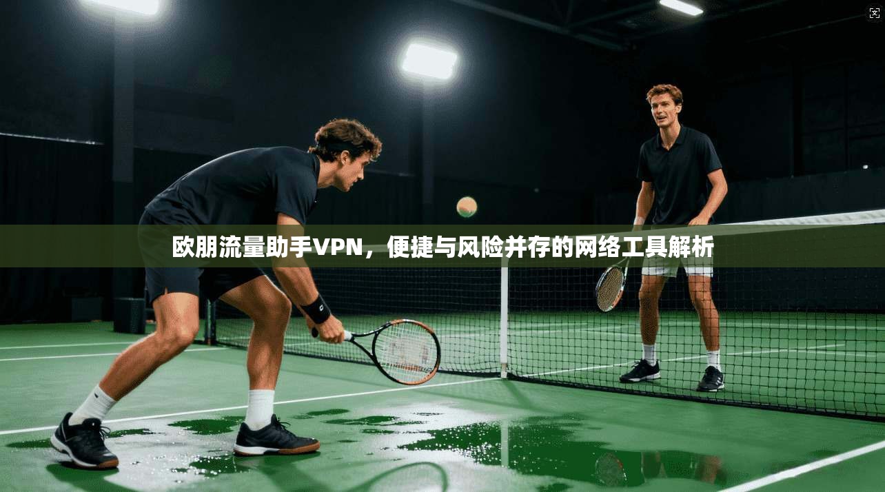 欧朋流量助手VPN，便捷与风险并存的网络工具解析