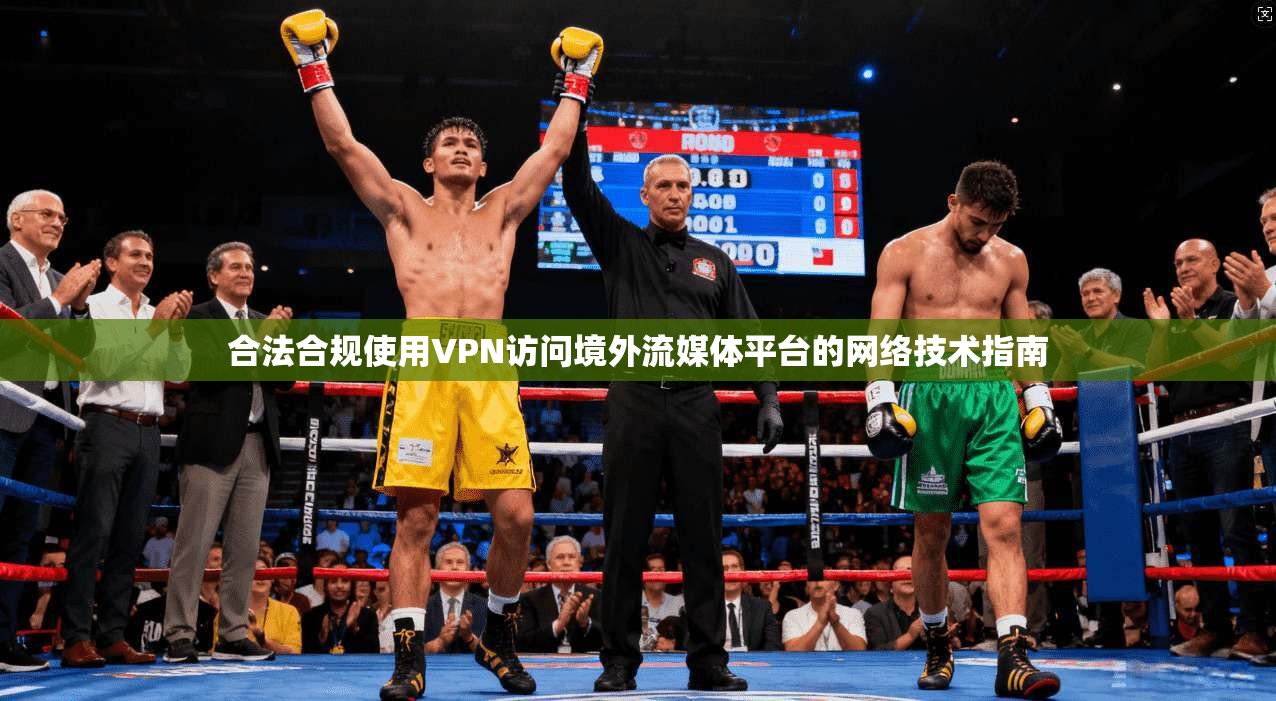 合法合规使用VPN访问境外流媒体平台的网络技术指南