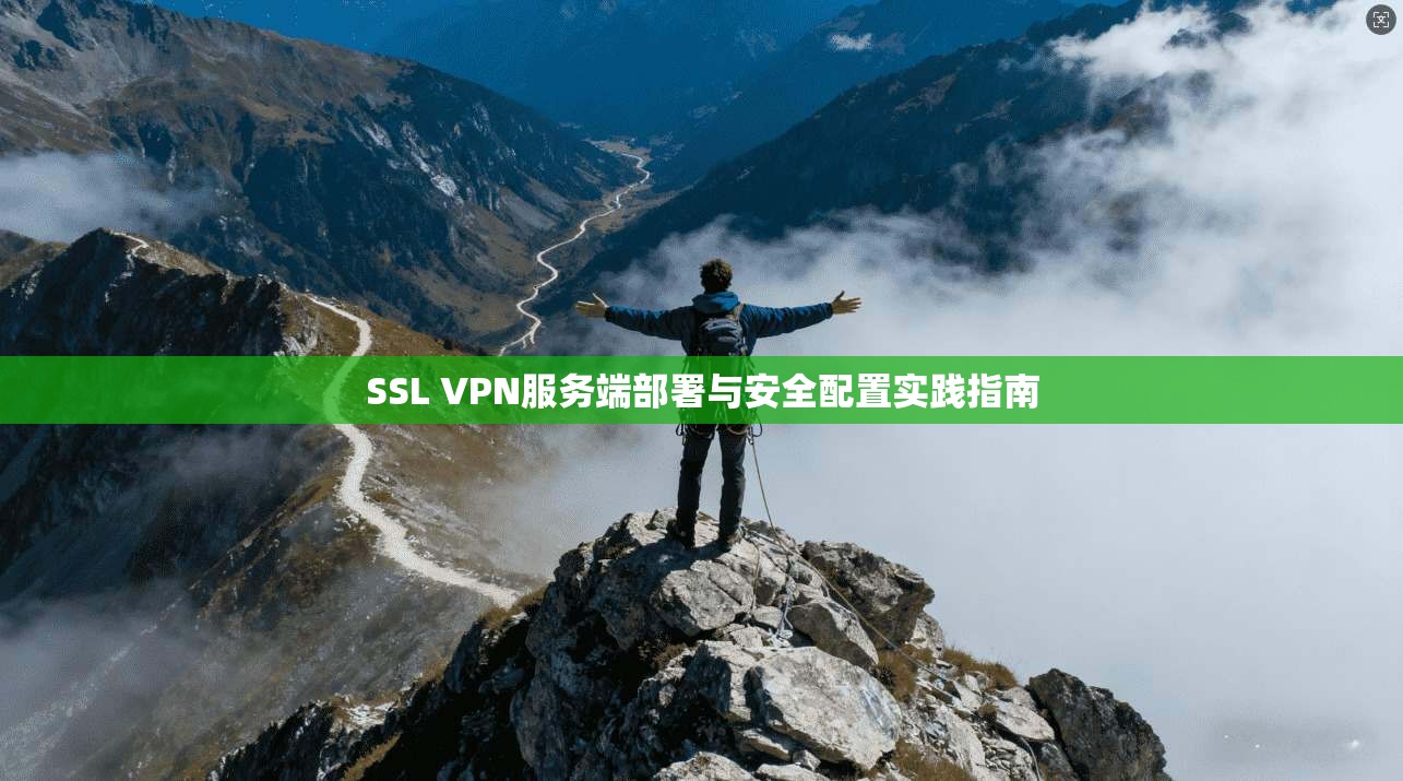 SSL VPN服务端部署与安全配置实践指南