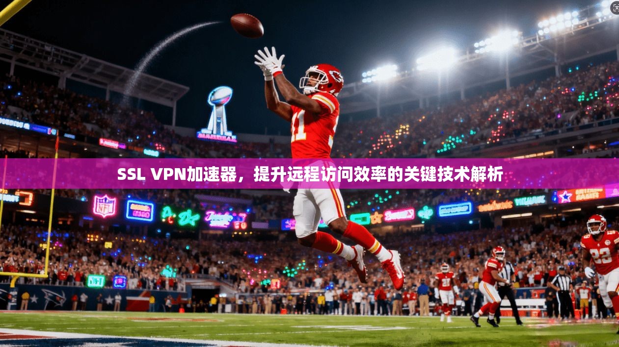 SSL VPN加速器，提升远程访问效率的关键技术解析