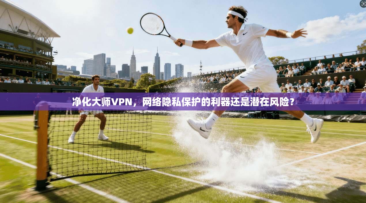 净化大师VPN，网络隐私保护的利器还是潜在风险？