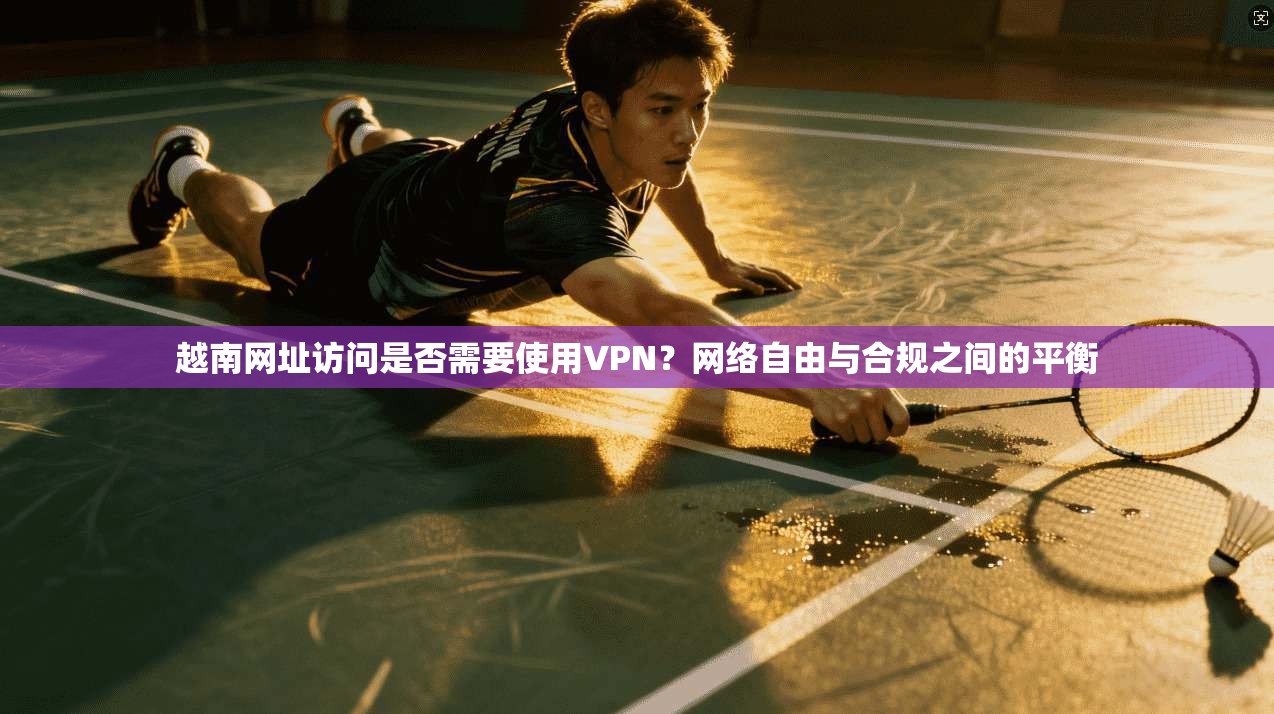 越南网址访问是否需要使用VPN?网络自由与合规之间的平衡