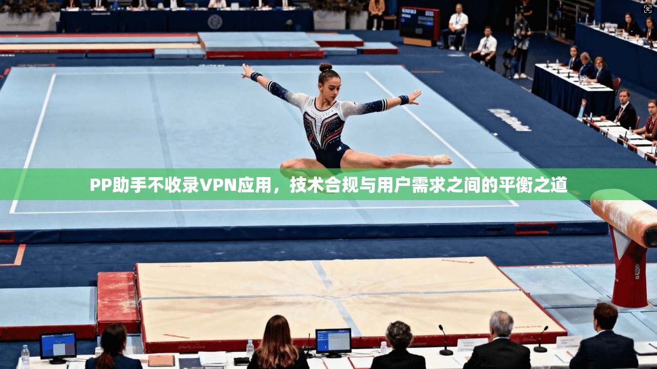 PP助手不收录VPN应用,技术合规与用户需求之间的平衡之道