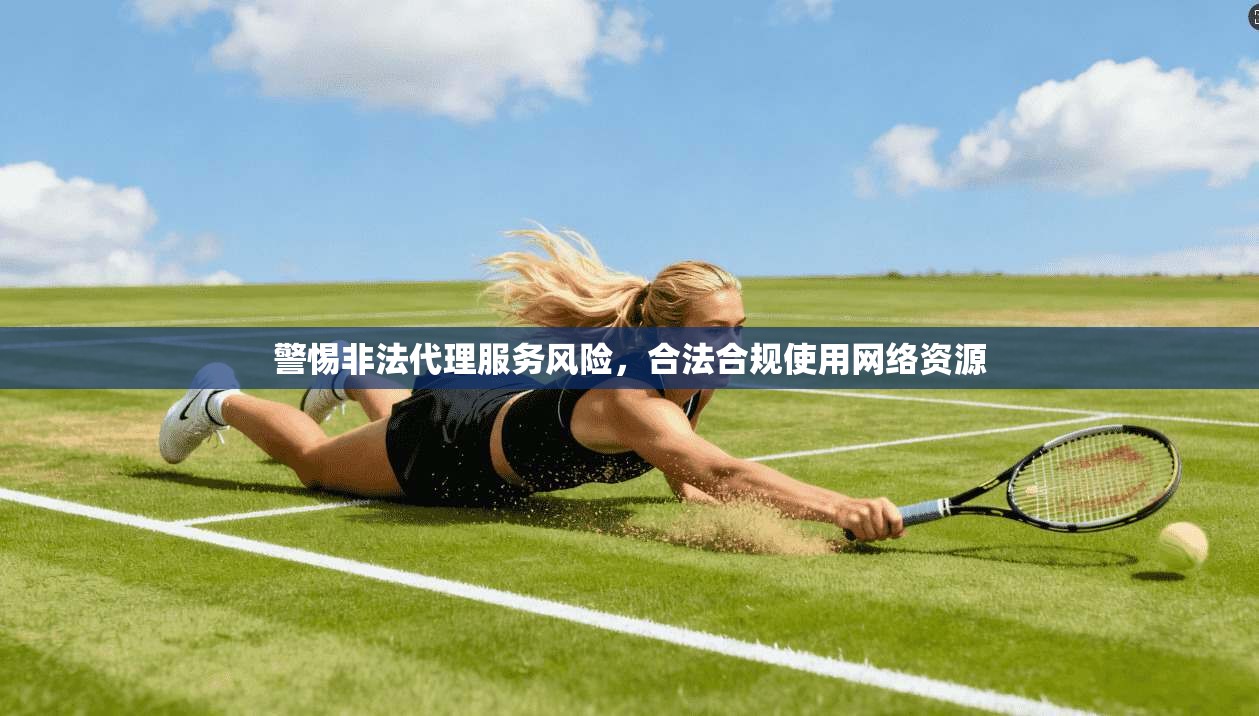警惕非法代理服务风险，合法合规使用网络资源