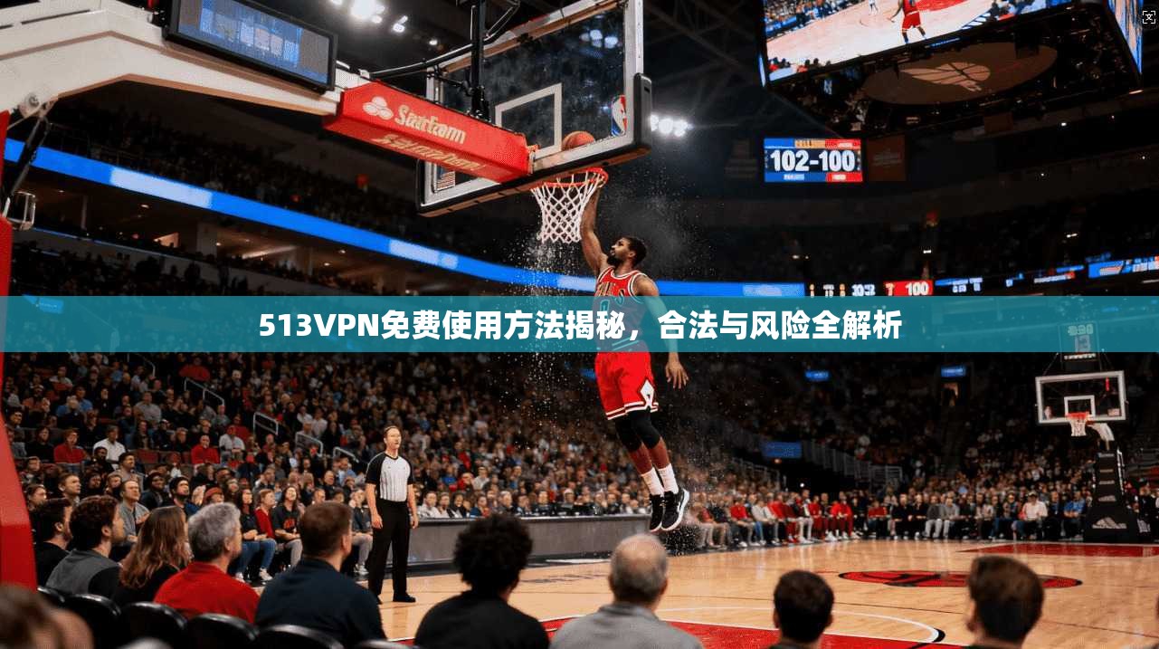 513VPN免费使用方法揭秘,合法与风险全解析