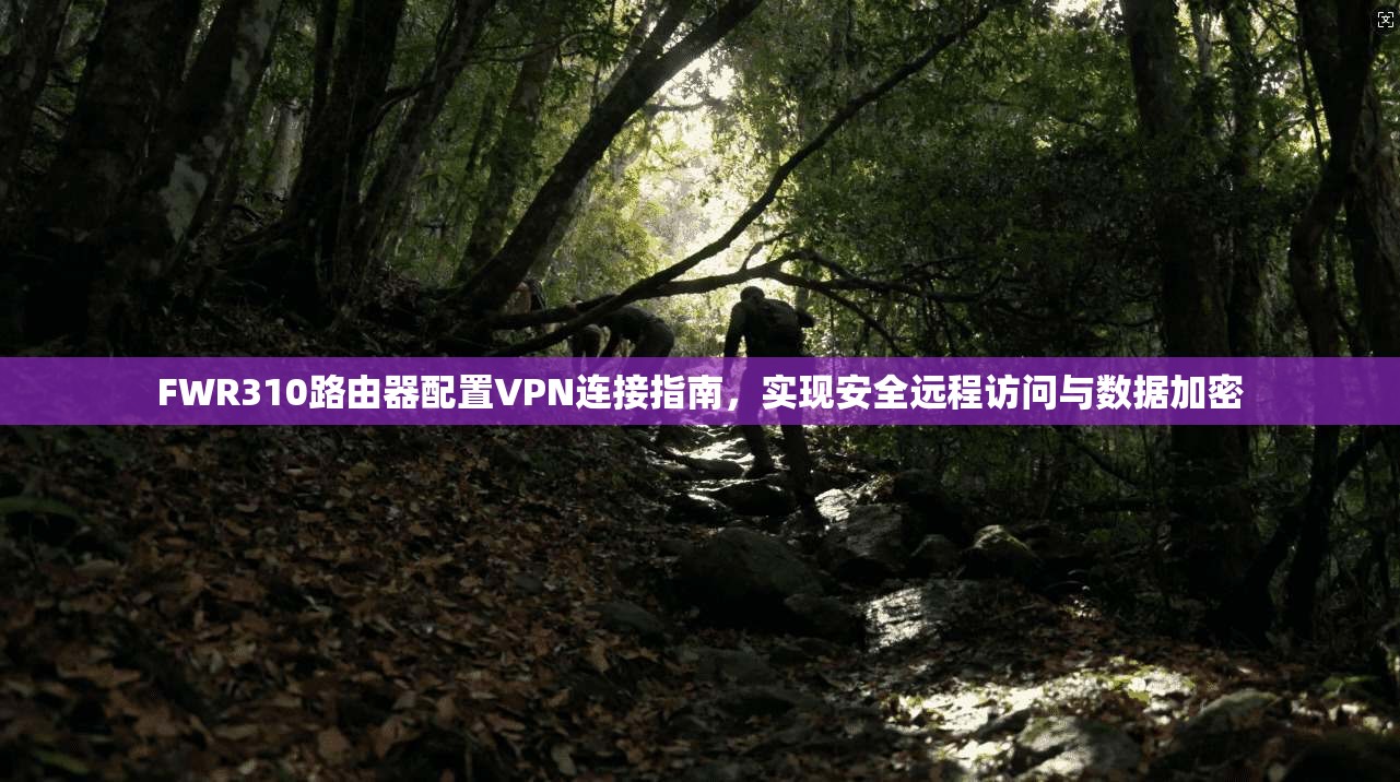 FWR310路由器配置VPN连接指南，实现安全远程访问与数据加密
