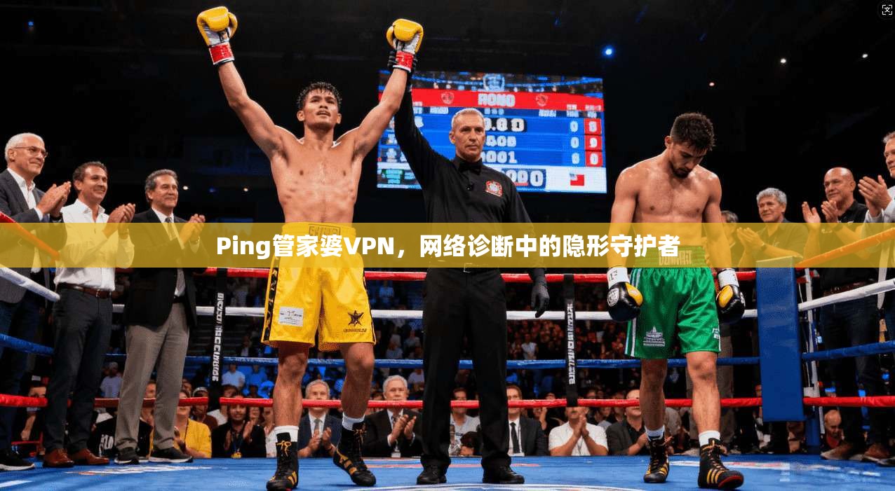 Ping管家婆VPN,网络诊断中的隐形守护者