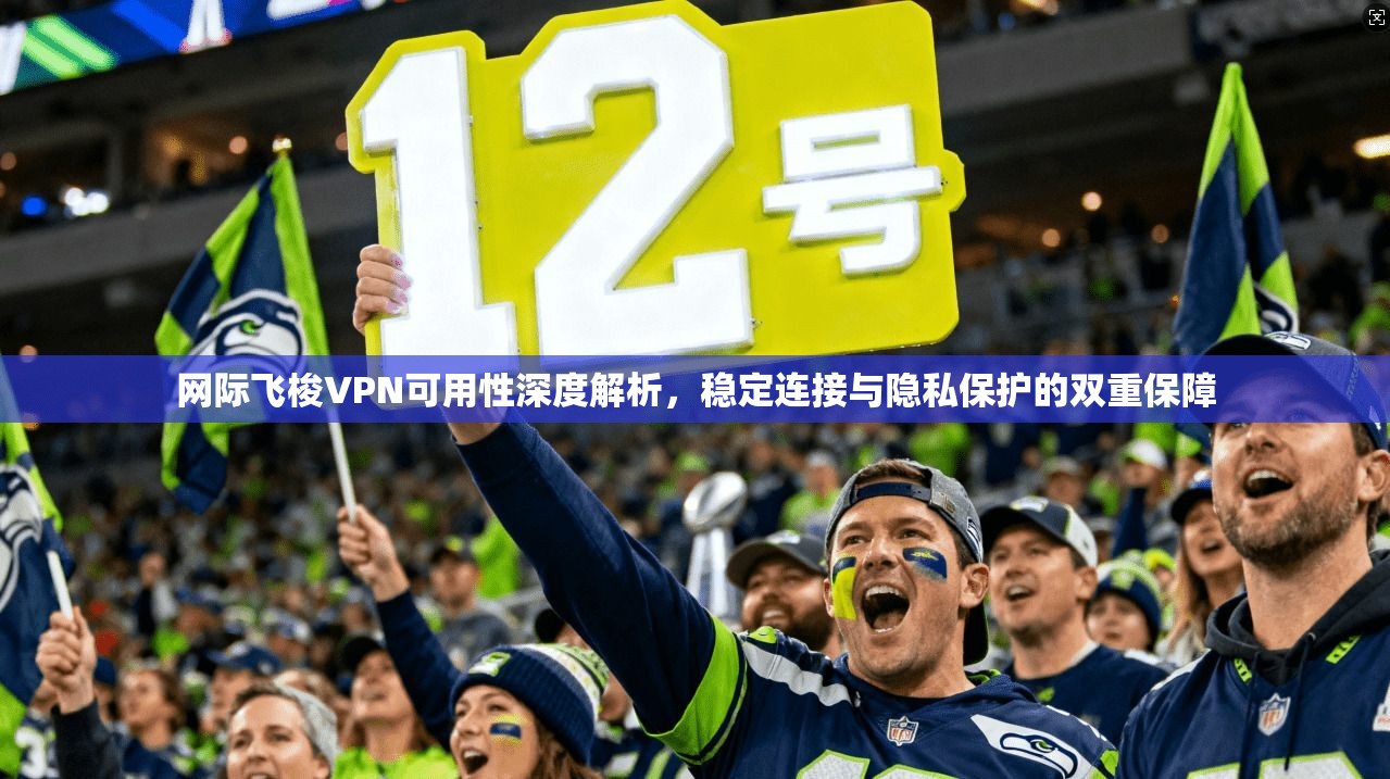 网际飞梭VPN可用性深度解析，稳定连接与隐私保护的双重保障