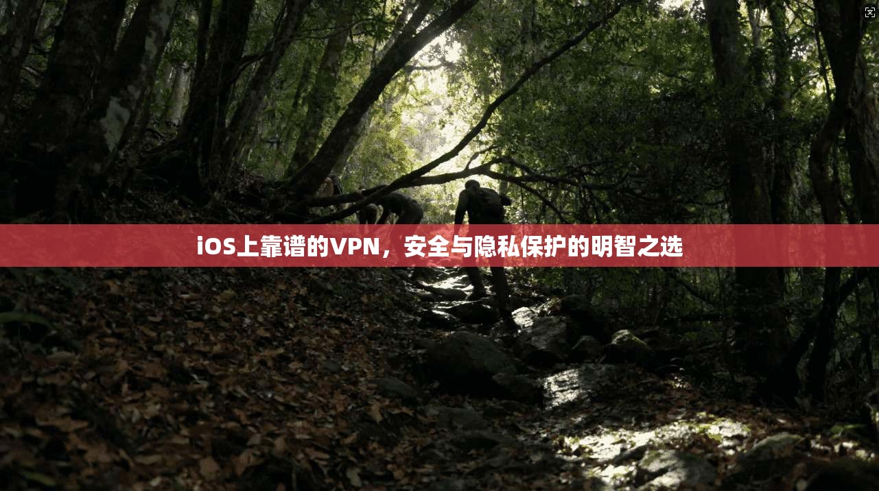 iOS上靠谱的VPN，安全与隐私保护的明智之选