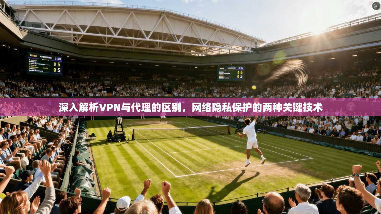 深入解析VPN与代理的区别，网络隐私保护的两种关键技术