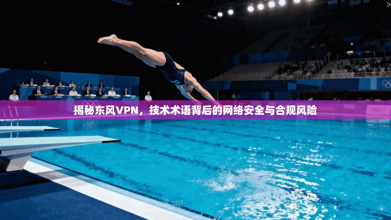 揭秘东风VPN，技术术语背后的网络安全与合规风险