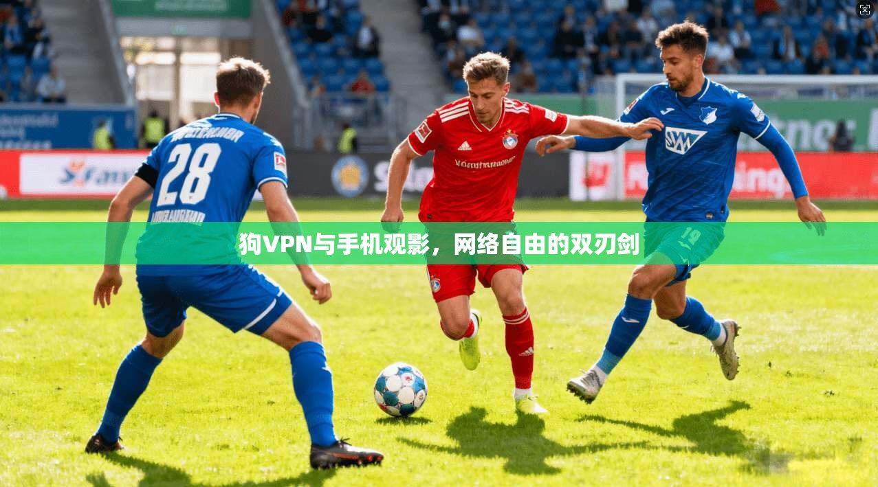 狗VPN与手机观影，网络自由的双刃剑