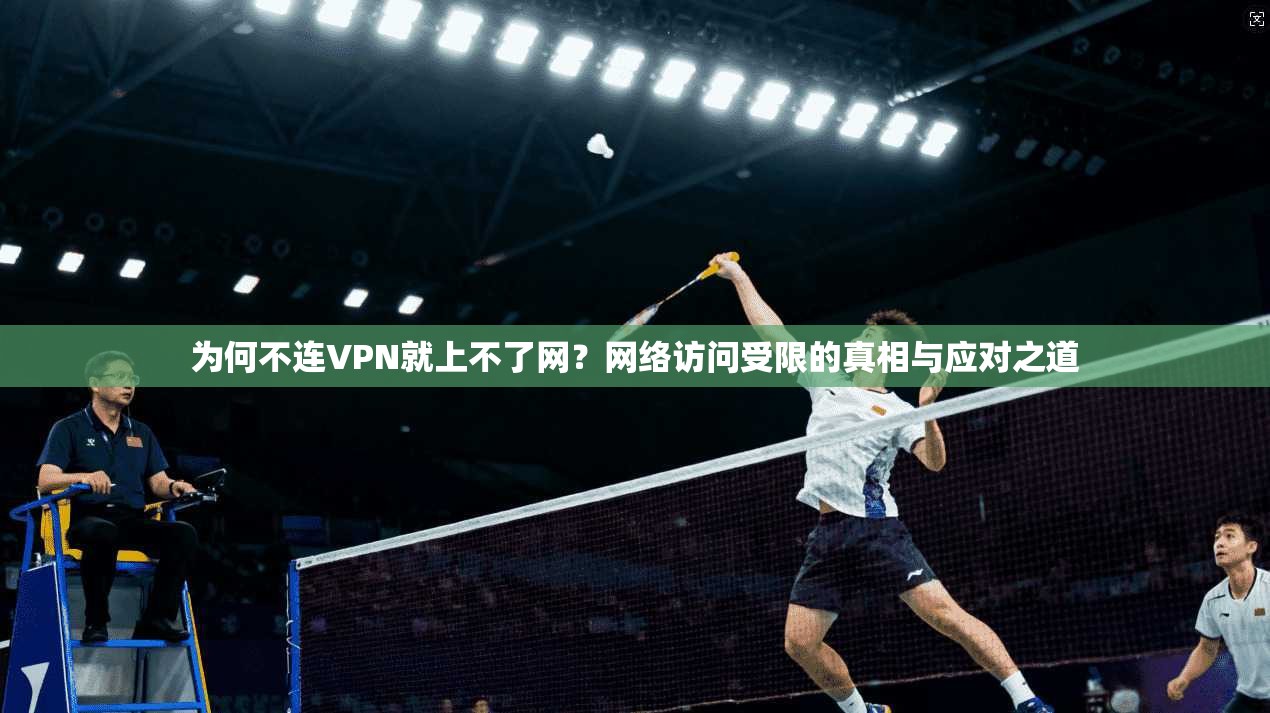 为何不连VPN就上不了网？网络访问受限的真相与应对之道