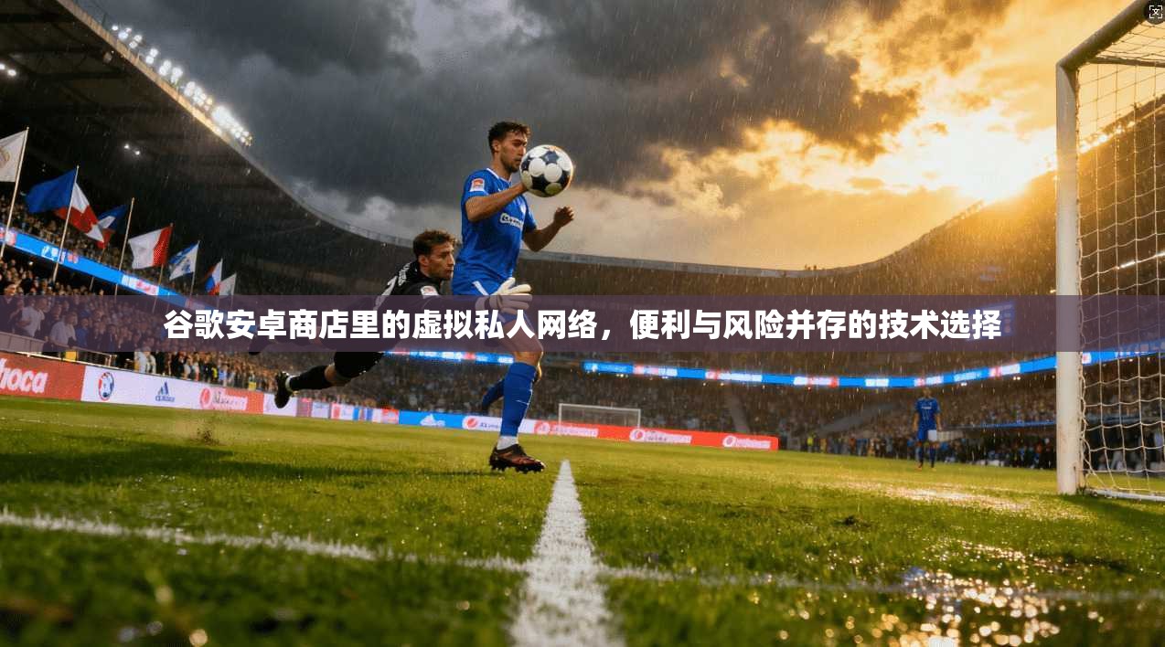 谷歌安卓商店里的虚拟私人网络，便利与风险并存的技术选择