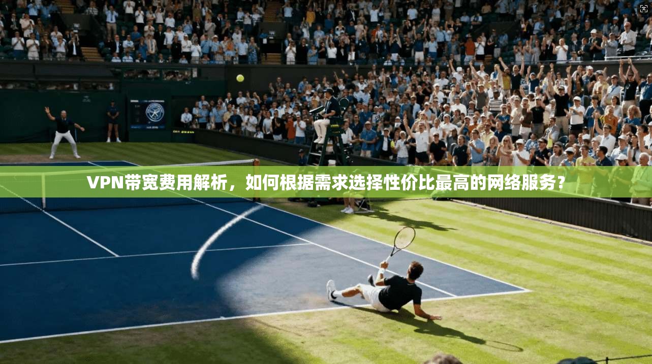 VPN带宽费用解析，如何根据需求选择性价比最高的网络服务？