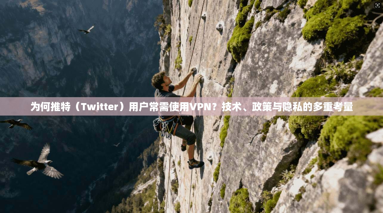 为何推特（Twitter）用户常需使用VPN？技术、政策与隐私的多重考量