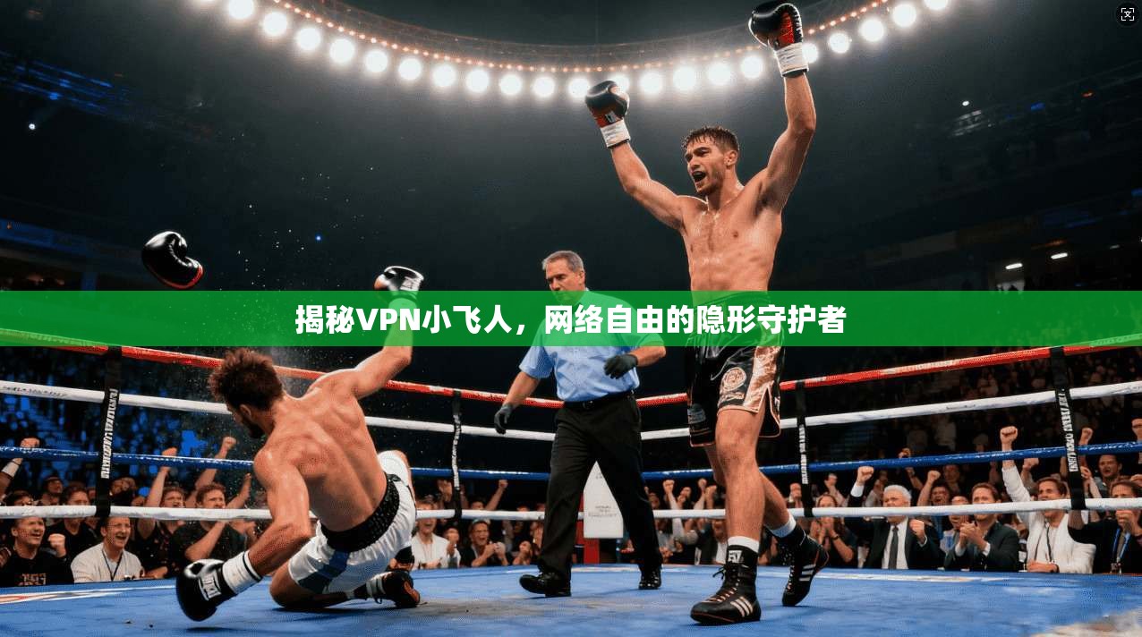 揭秘VPN小飞人,网络自由的隐形守护者
