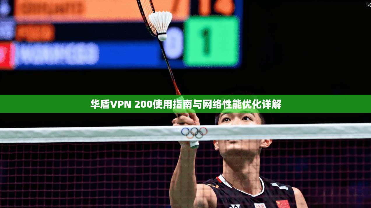 华盾VPN 200使用指南与网络性能优化详解