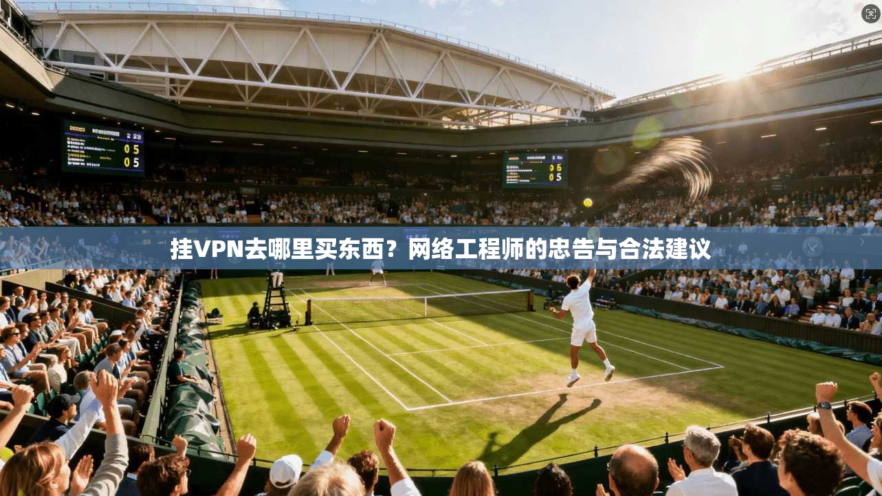 挂VPN去哪里买东西？网络工程师的忠告与合法建议