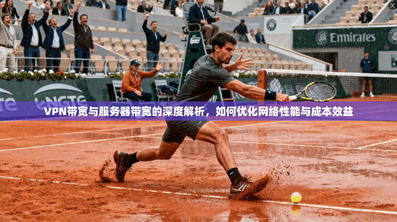 VPN带宽与服务器带宽的深度解析,如何优化网络性能与成本效益