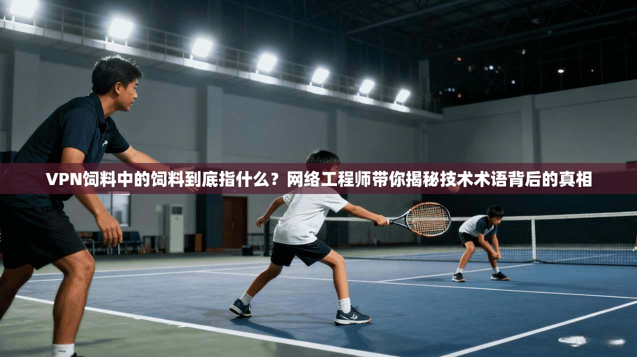 VPN饲料中的饲料到底指什么?网络工程师带你揭秘技术术语背后的真相