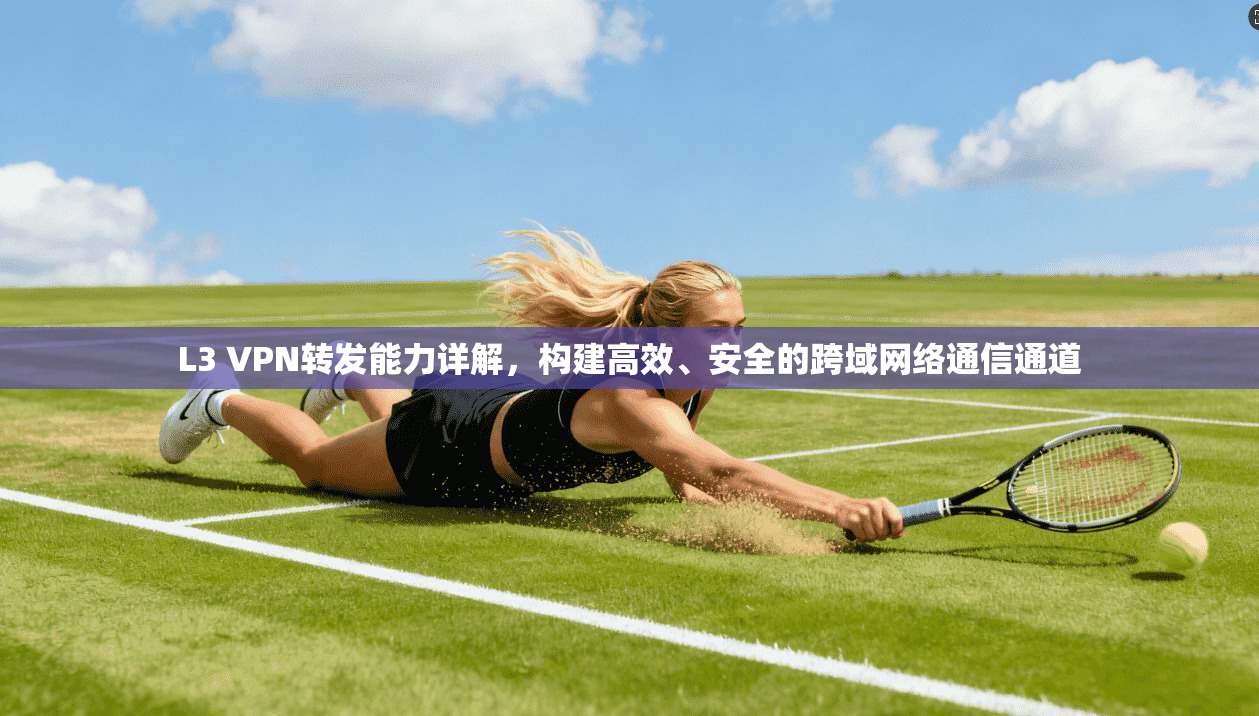 L3 VPN转发能力详解，构建高效、安全的跨域网络通信通道