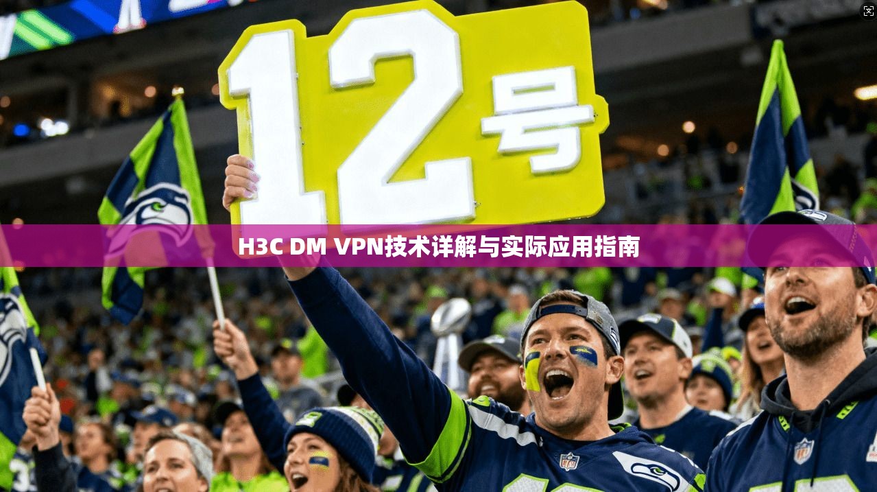 H3C DM VPN技术详解与实际应用指南