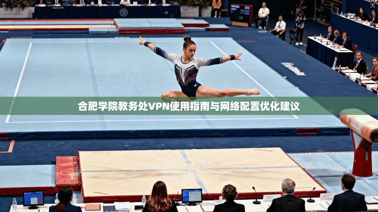 合肥学院教务处VPN使用指南与网络配置优化建议