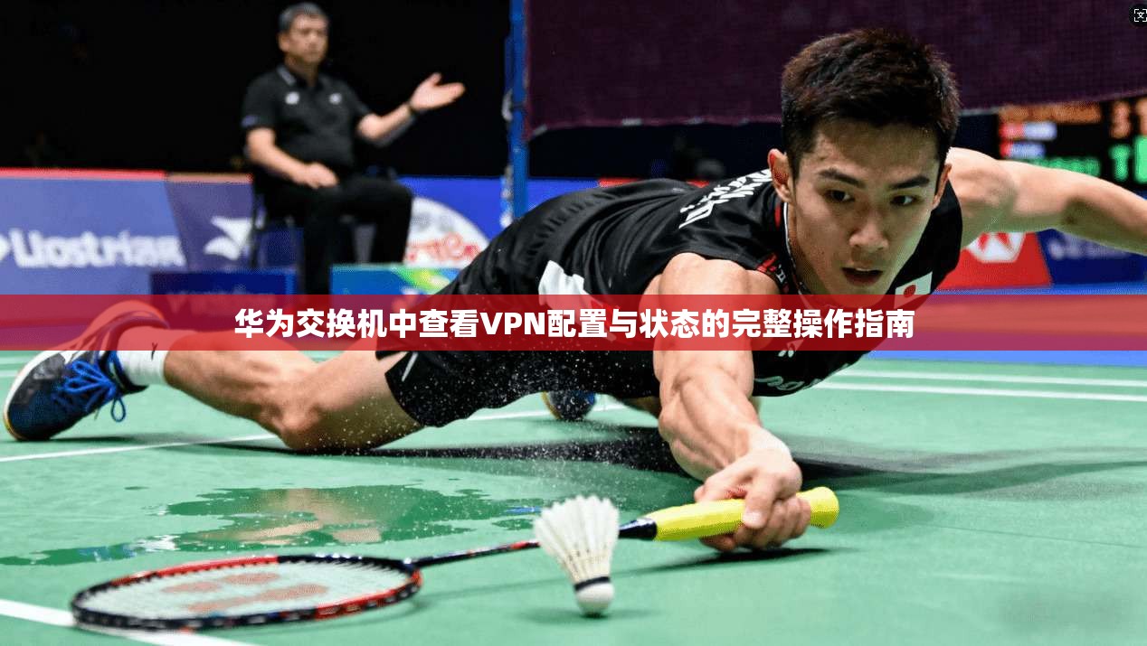 华为交换机中查看VPN配置与状态的完整操作指南