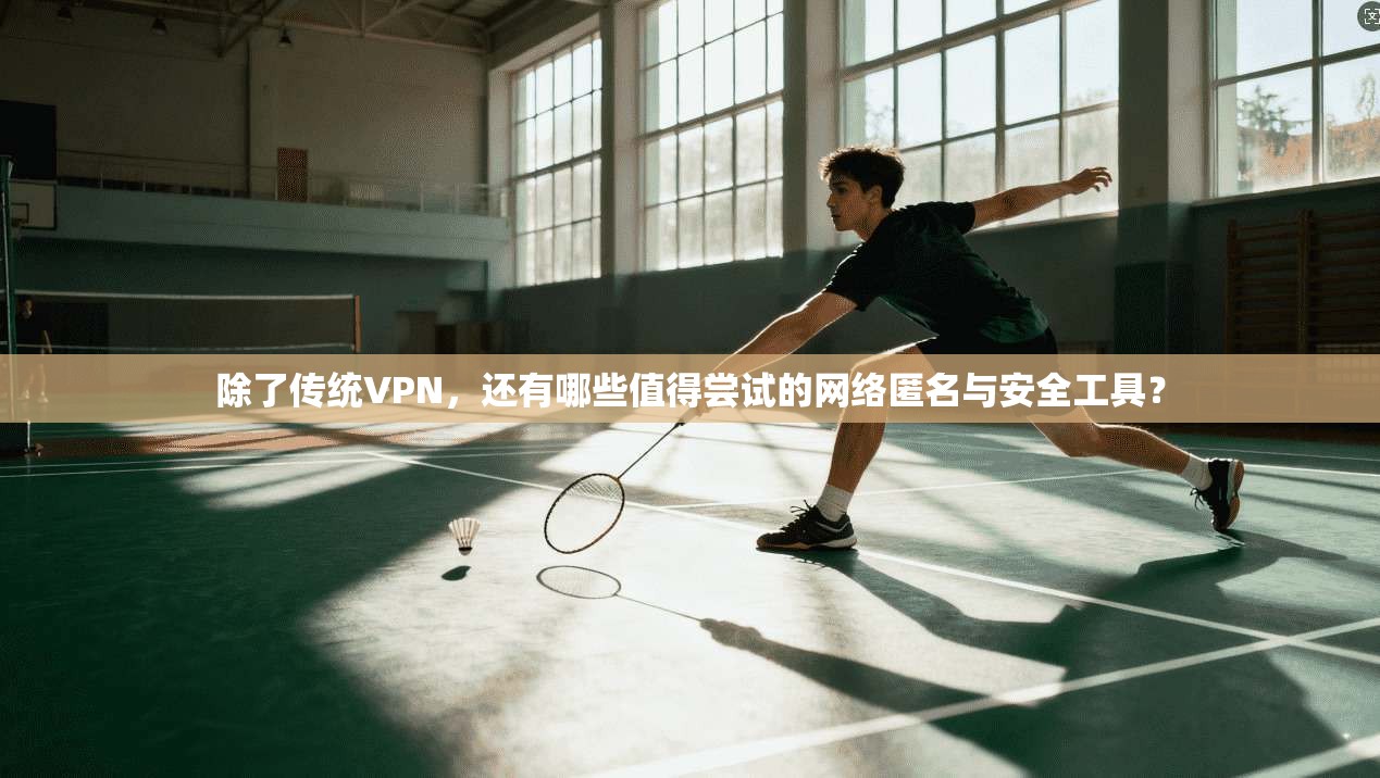 除了传统VPN，还有哪些值得尝试的网络匿名与安全工具？