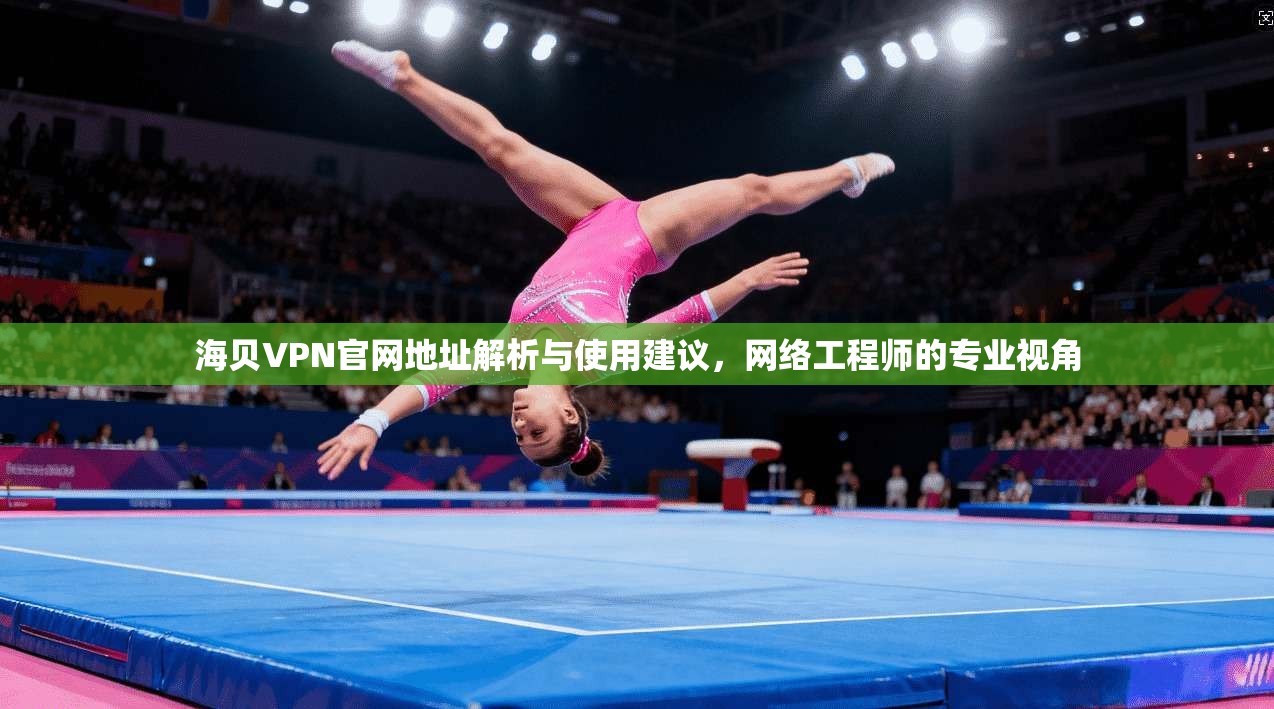 海贝VPN官网地址解析与使用建议,网络工程师的专业视角