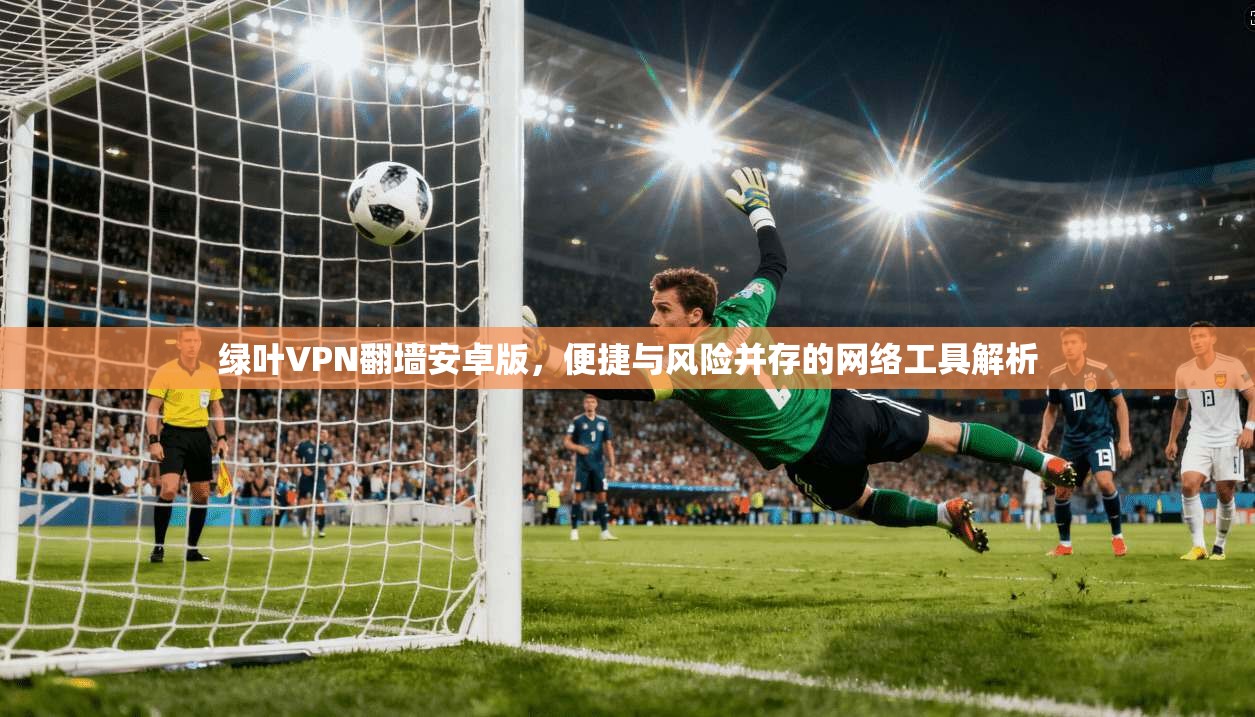 绿叶VPN翻墙安卓版，便捷与风险并存的网络工具解析