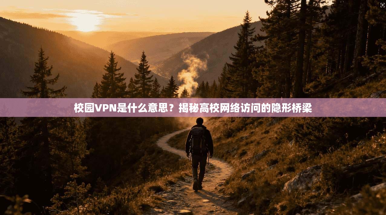 校园VPN是什么意思？揭秘高校网络访问的隐形桥梁