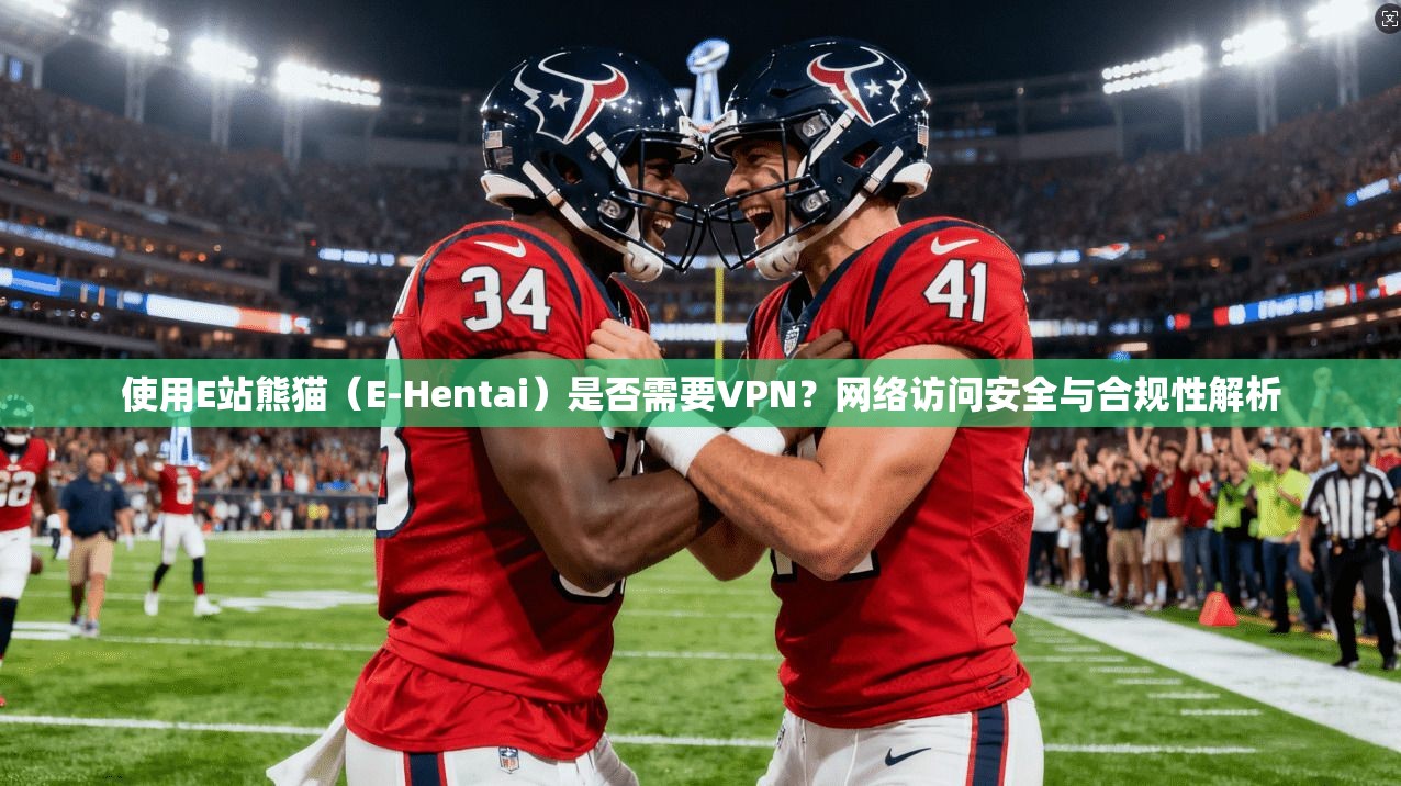 使用E站熊猫（E-Hentai）是否需要VPN？网络访问安全与合规性解析