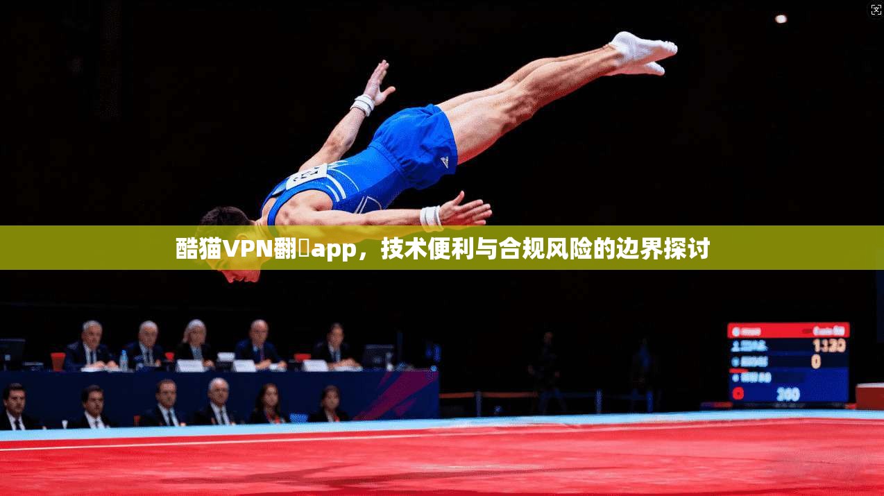 酷猫VPN翻牆app,技术便利与合规风险的边界探讨