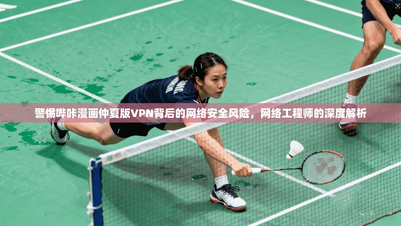 警惕哔咔漫画仲夏版VPN背后的网络安全风险，网络工程师的深度解析