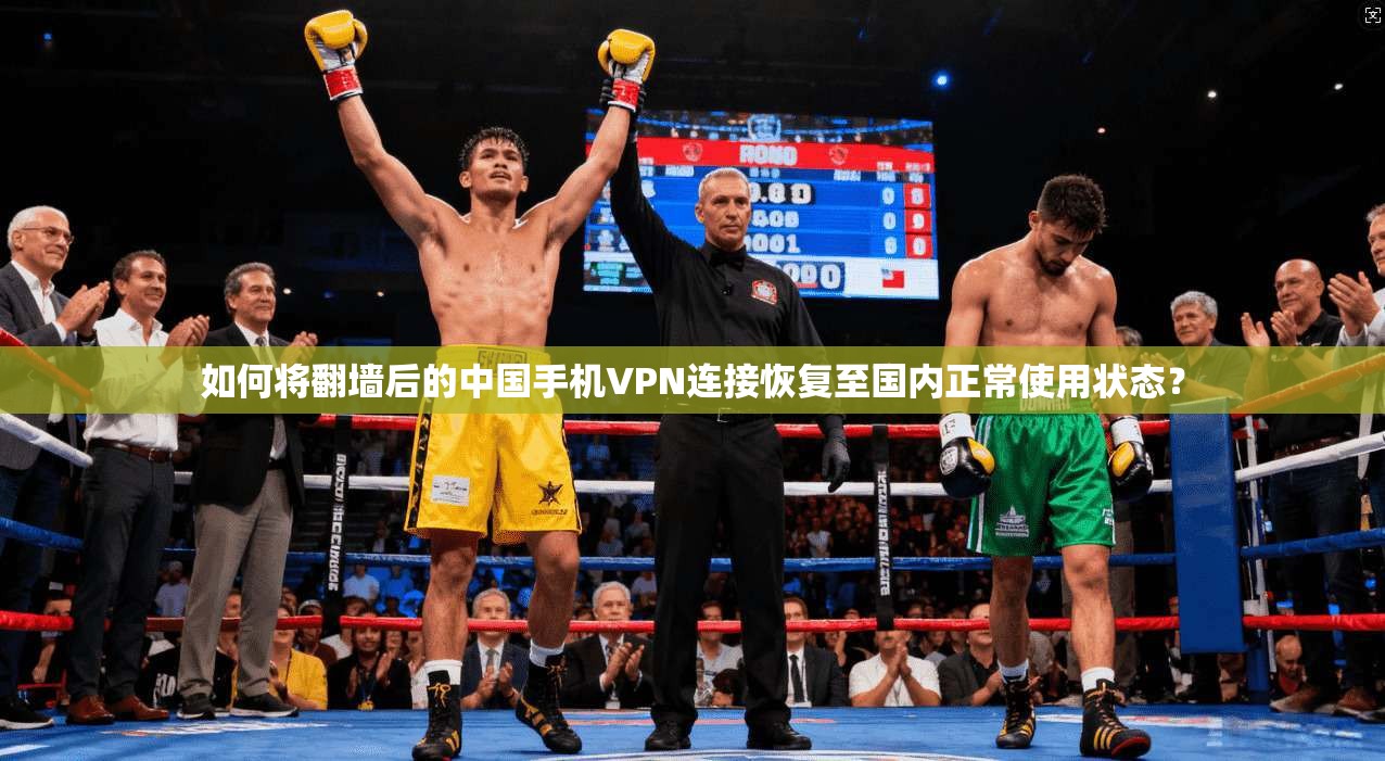 如何将翻墙后的中国手机VPN连接恢复至国内正常使用状态?