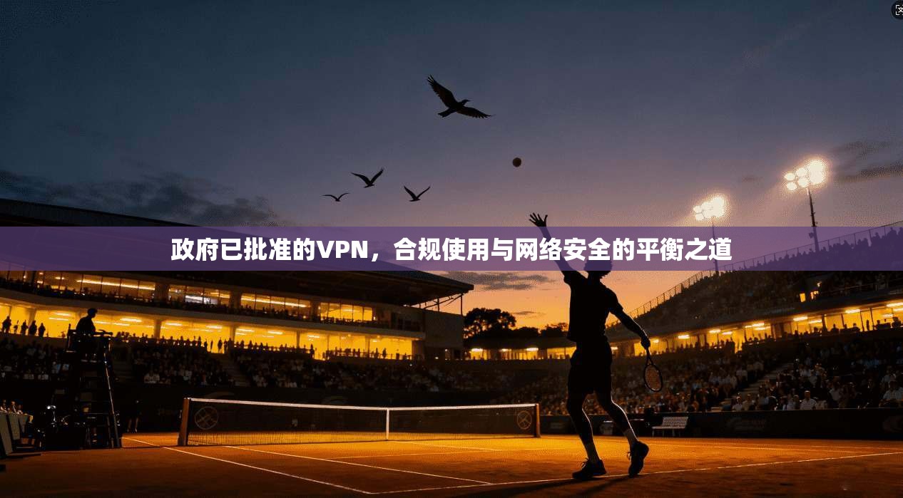 政府已批准的VPN，合规使用与网络安全的平衡之道