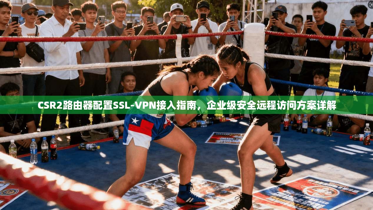 CSR2路由器配置SSL-VPN接入指南,企业级安全远程访问方案详解